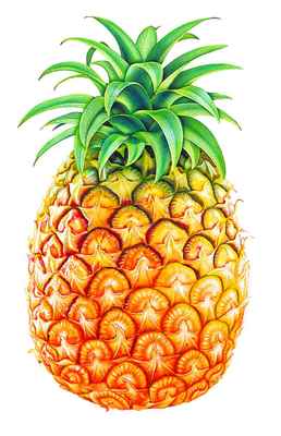 東盟首腦峰會創(chuàng)意著裝 水果主題服裝展現(xiàn)團(tuán)結(jié)與活力